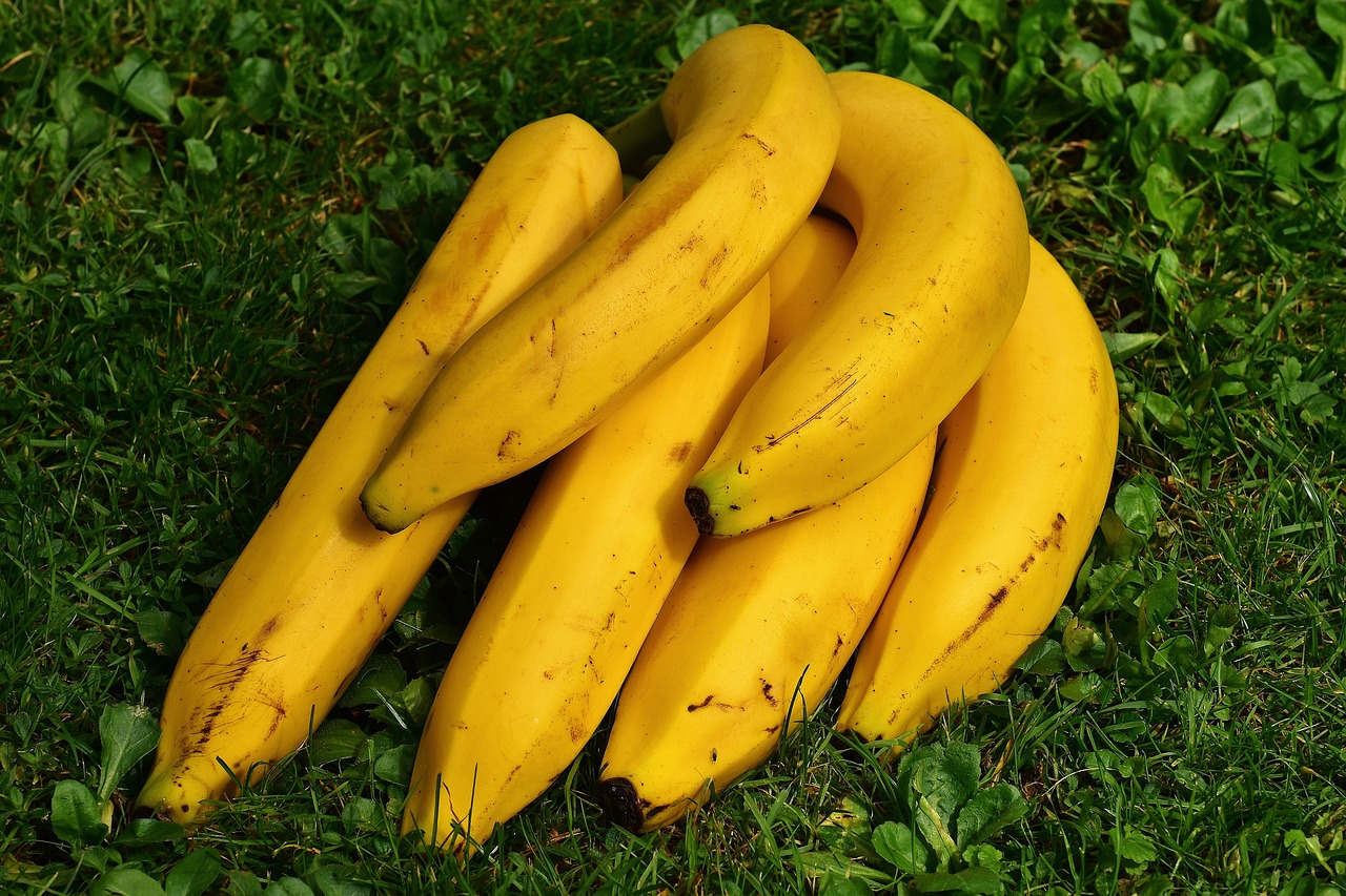 bananas, fruits, yellow-1642706.jpg